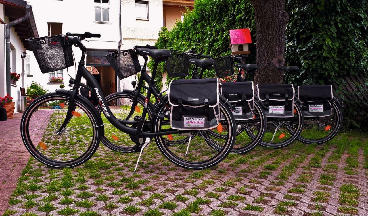Pension Zum Birnbaum Brandenburg  ภายนอก รูปภาพ